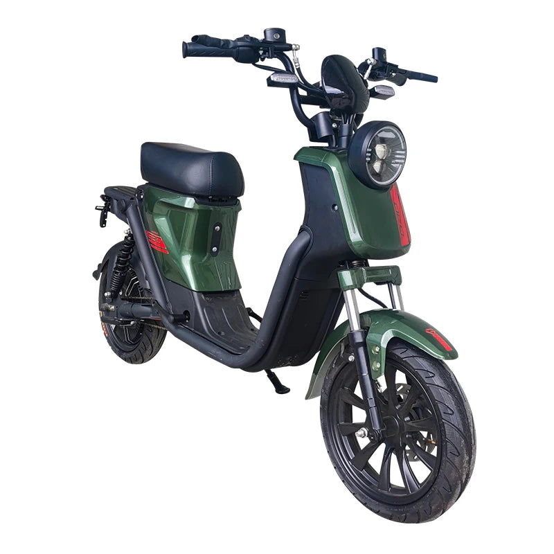 OEM,17 Inch Cargo Electric Bicycle Household Ebike Delivery 800W Lithium Battery Electric Bike,Manufacturer