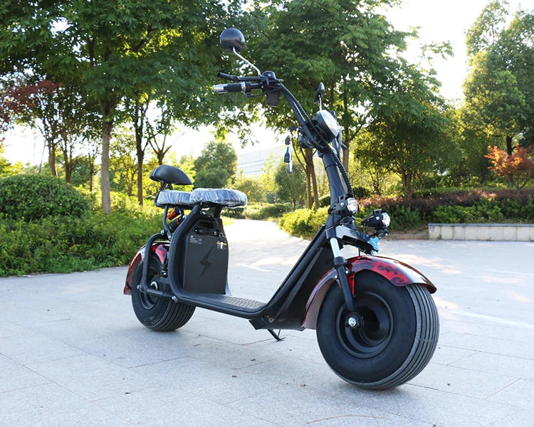 Most Popular Adult Electric Motorcycle With Citycoco 2000W