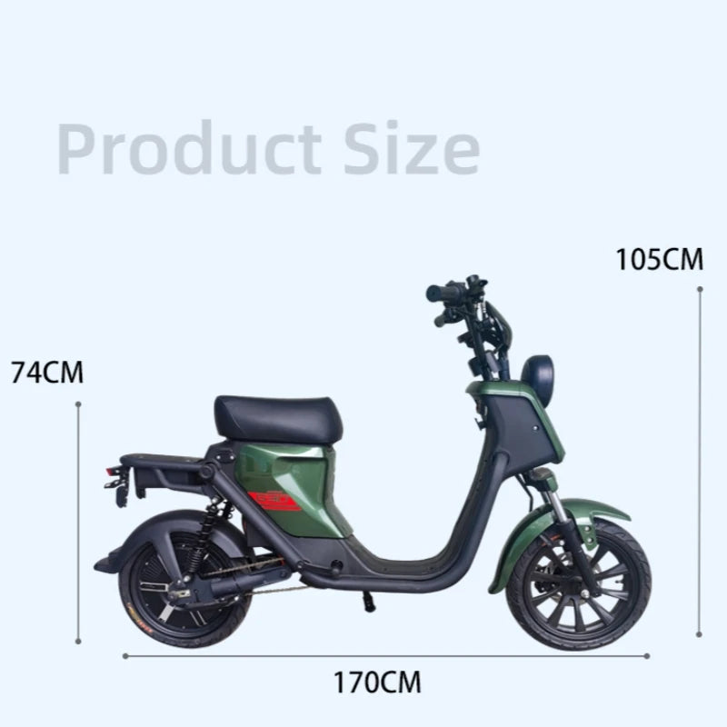 OEM,17 Inch Cargo Electric Bicycle Household Ebike Delivery 800W Lithium Battery Electric Bike,Manufacturer