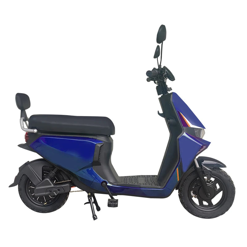 OEM 14 Inch Household Electric Motorcycle 800W 48V Lithium Battery Electric Bike