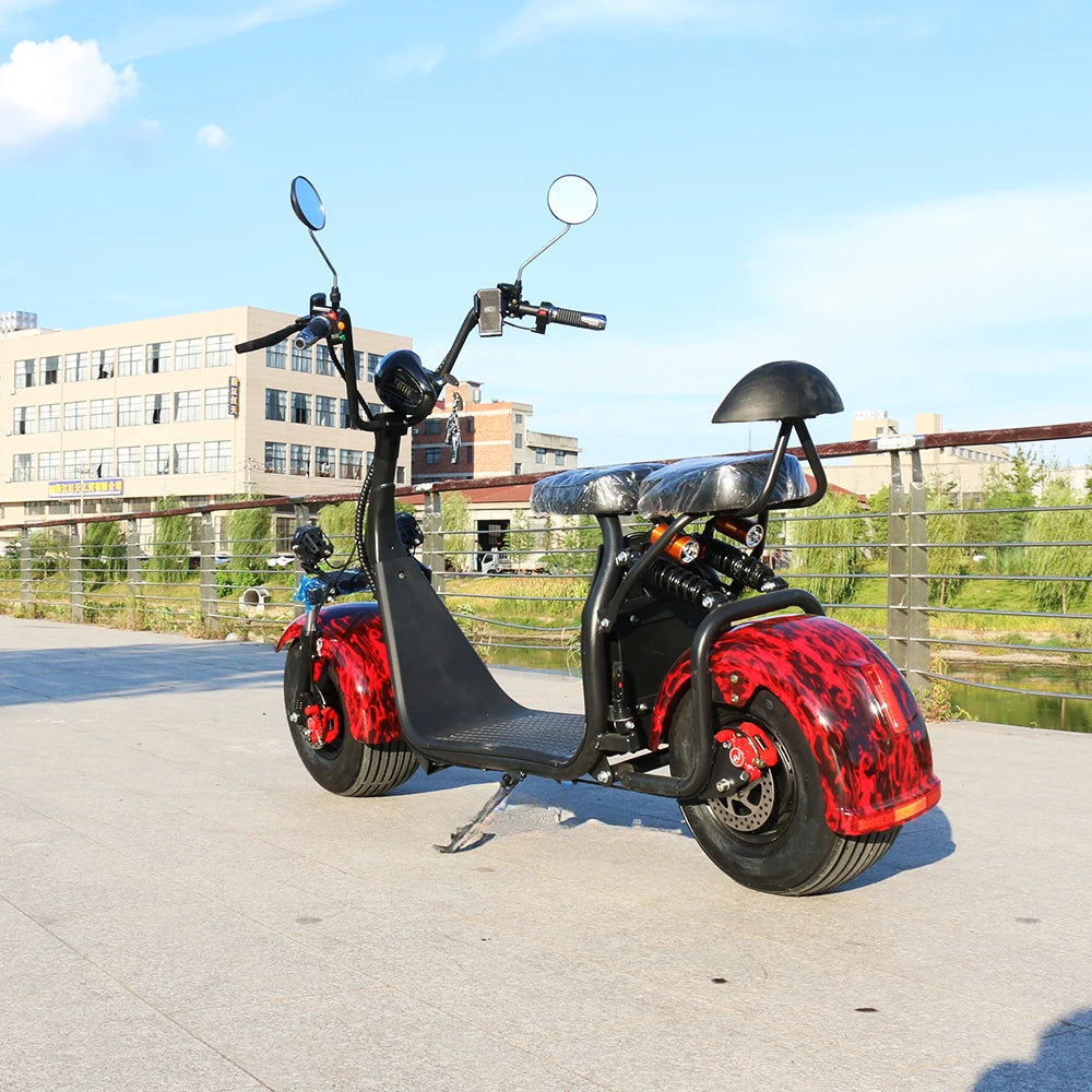 Most Popular Adult Electric Motorcycle With Citycoco 2000W