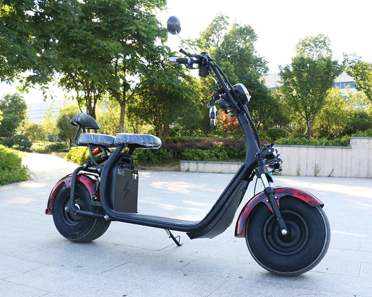 Most Popular Adult Electric Motorcycle With Citycoco 2000W