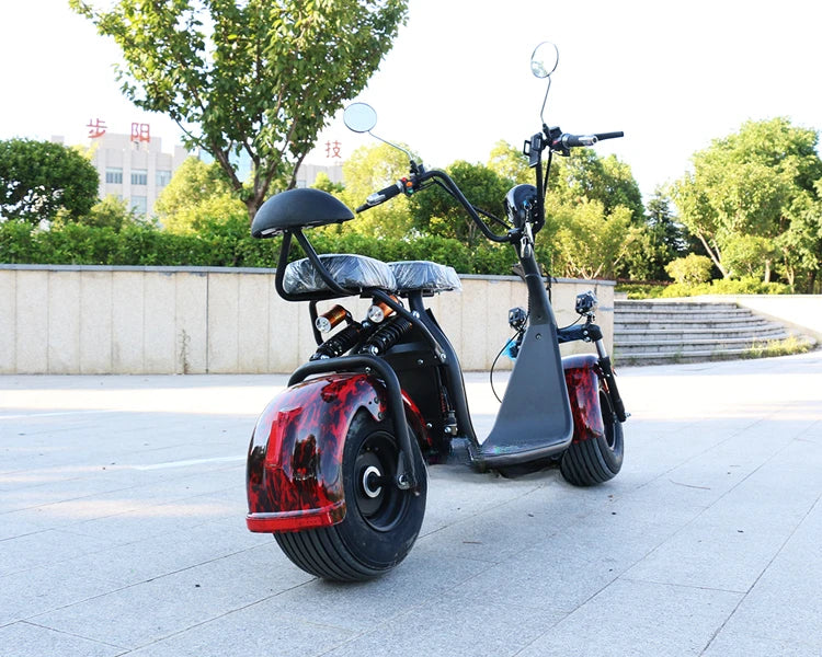 Most Popular Adult Electric Motorcycle With Citycoco 2000W